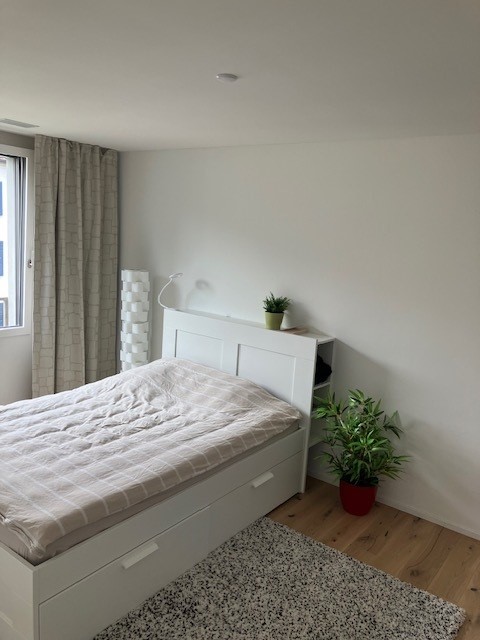 2 ½ Zimmer Wohnung