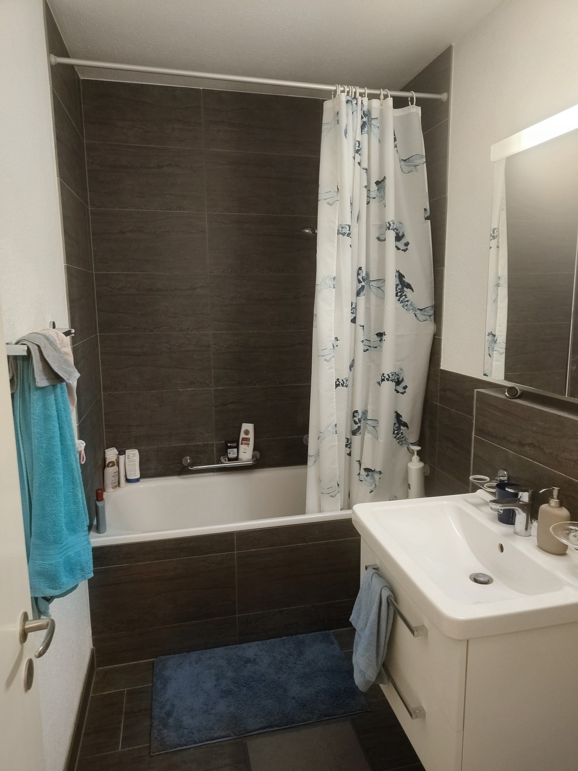 2 ½ rooms apartment