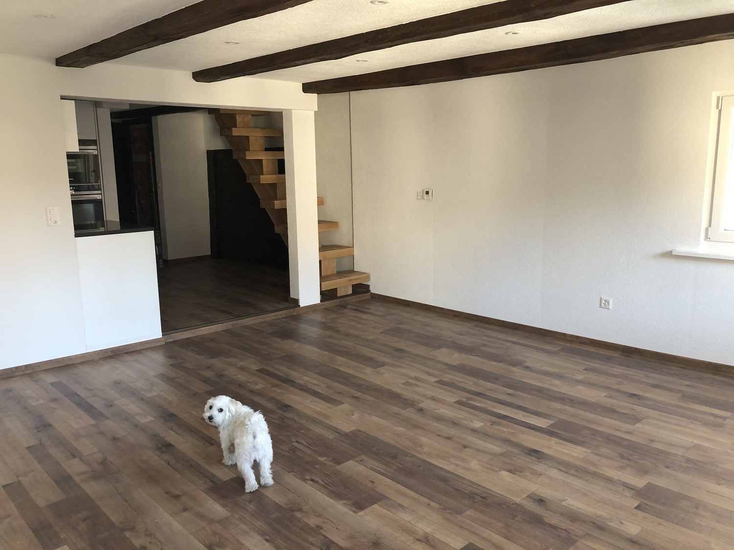 Appartamento di 5 ½ locali