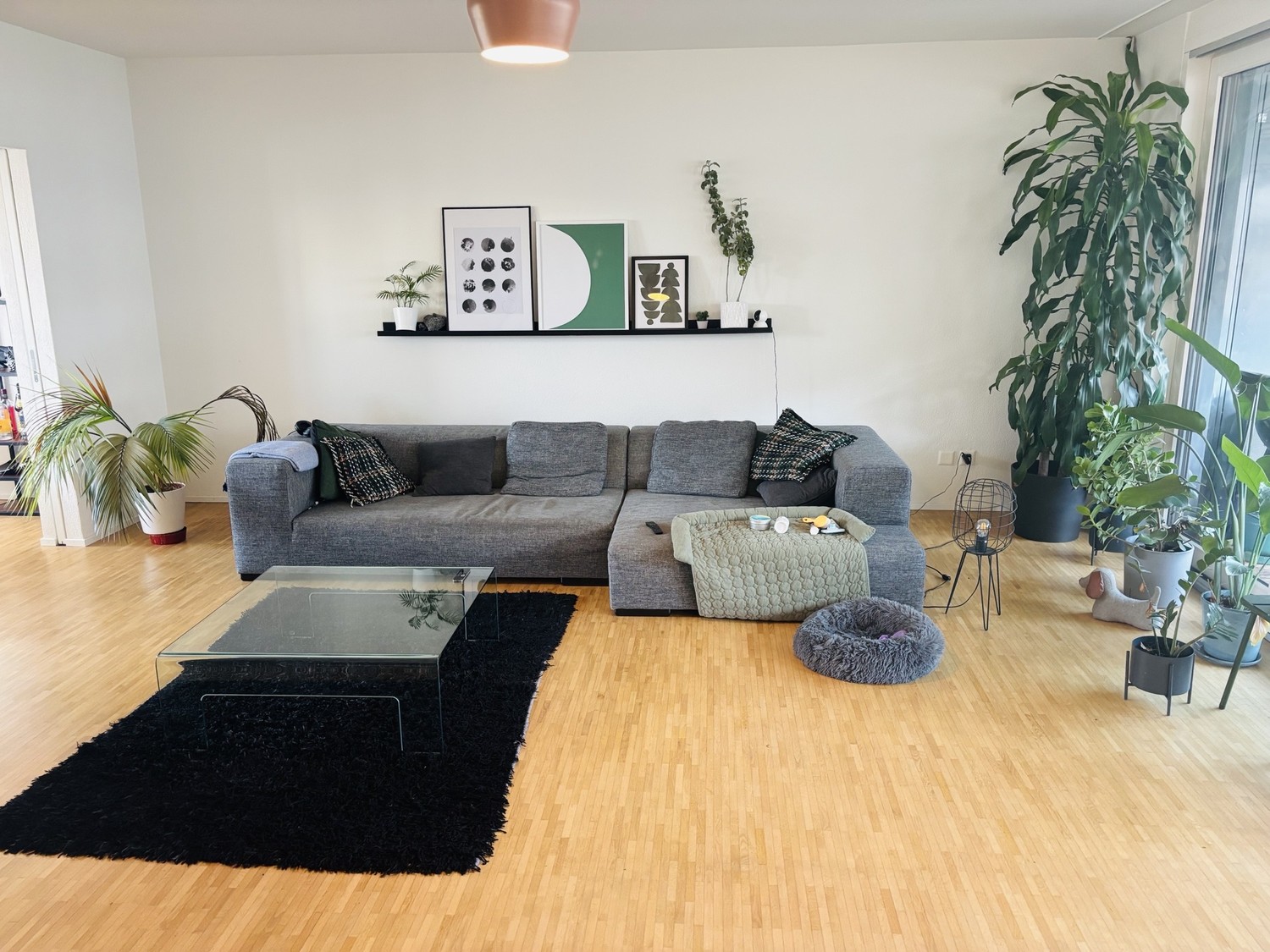 Zimmer in einer Wohngemeinschaft, Foto 2 von 10