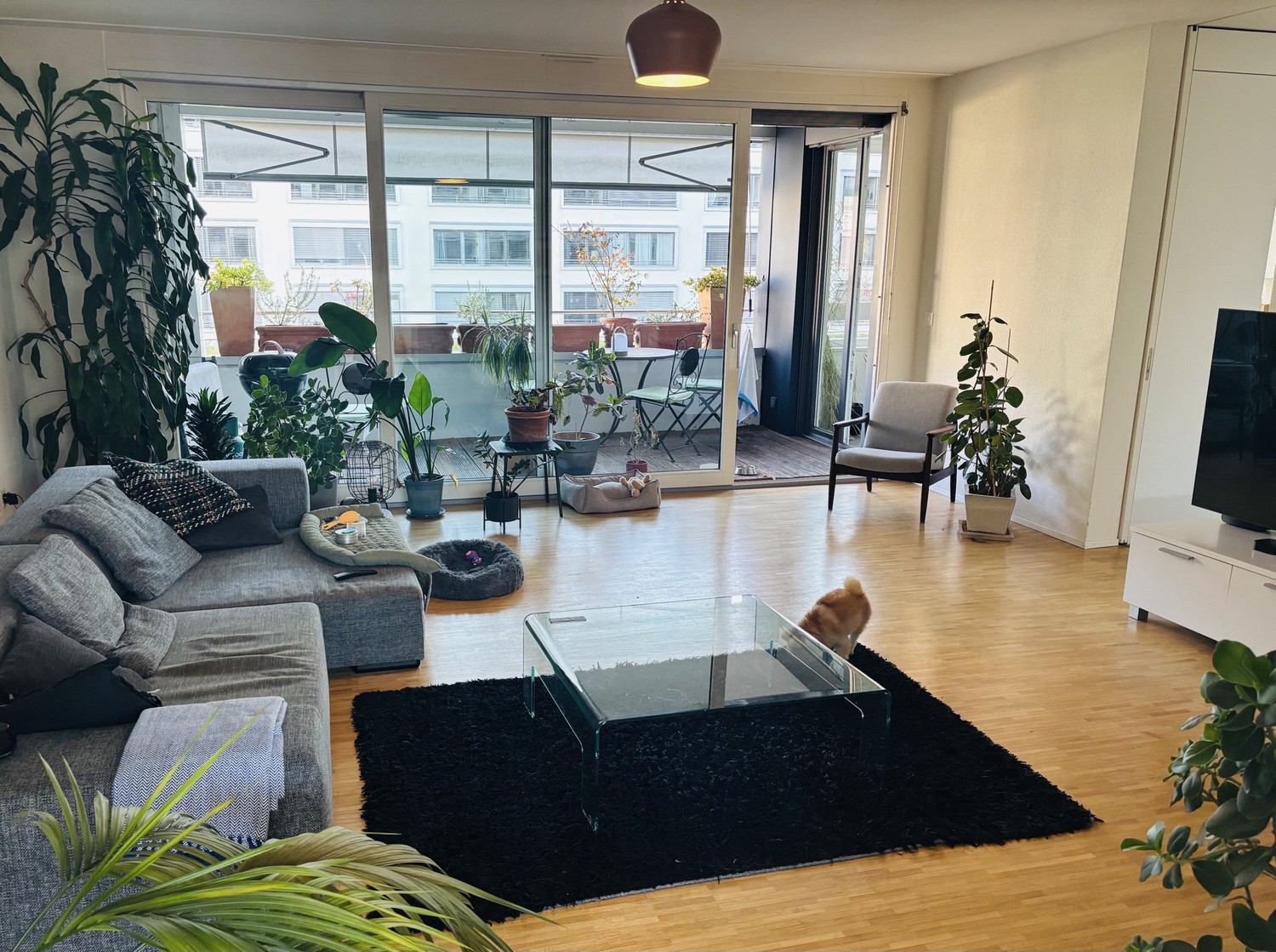 Zimmer in einer Wohngemeinschaft, Foto 10 von 10