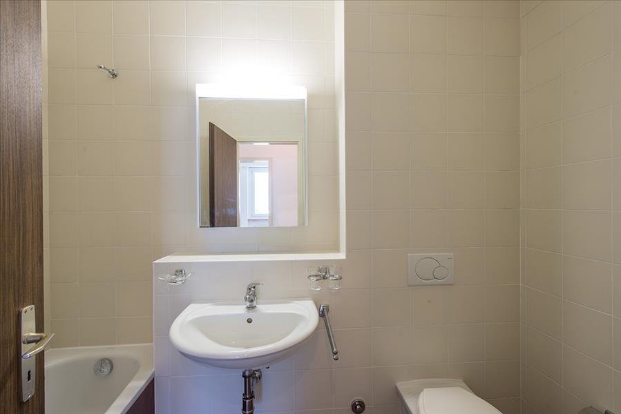 4 ½ rooms apartment (5)