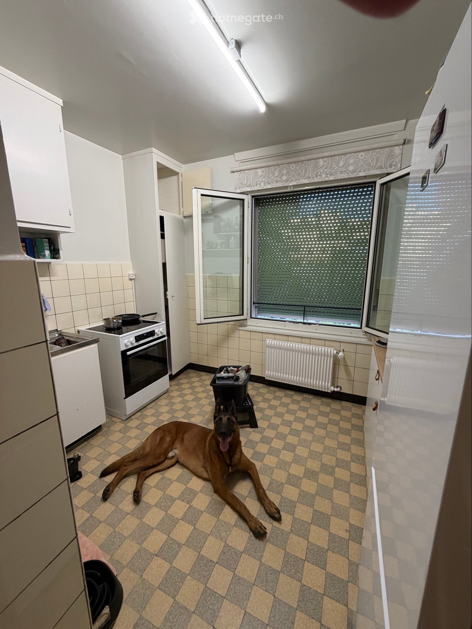 3-Zimmer-Wohnung, Foto 4 von 5