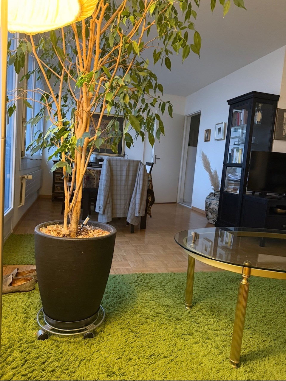 Chambre dans une colocation
