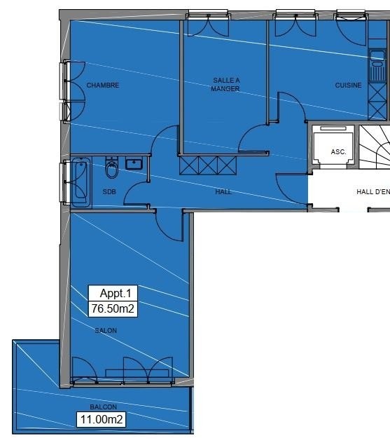 Appartement de 3 ½ pièces
