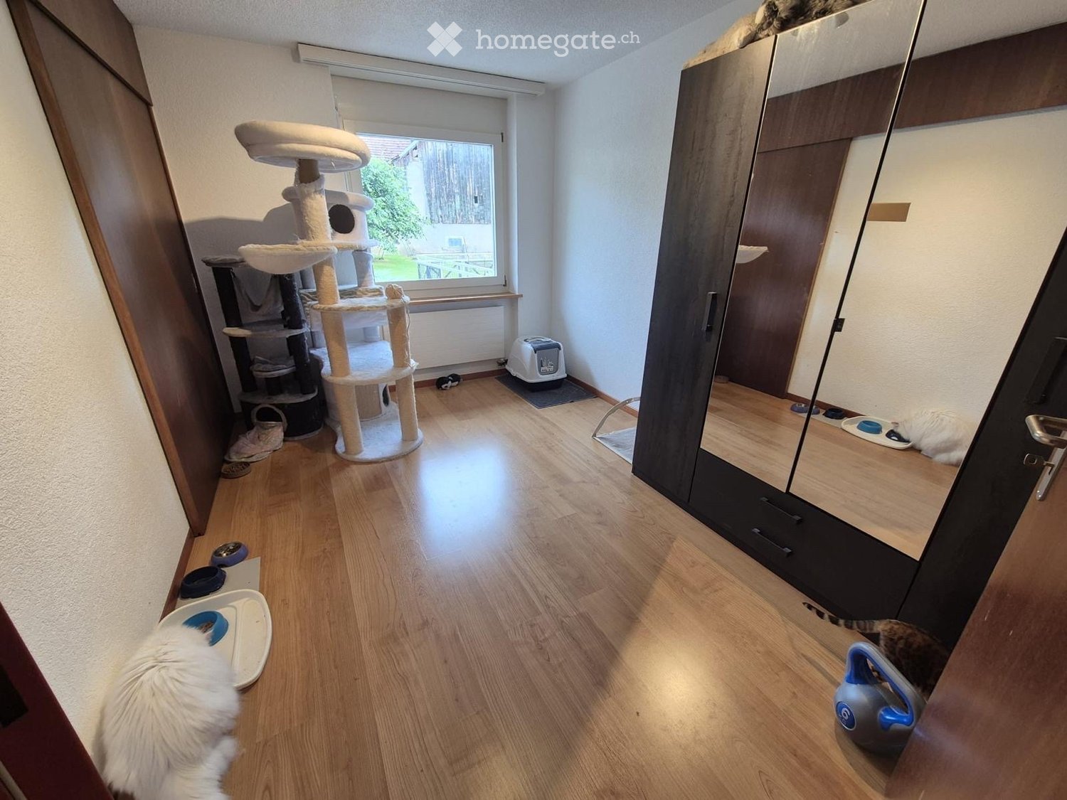 4 ½ rooms apartment