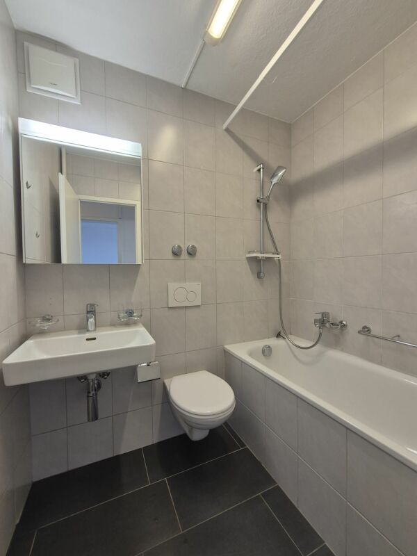 2 ½ rooms apartment