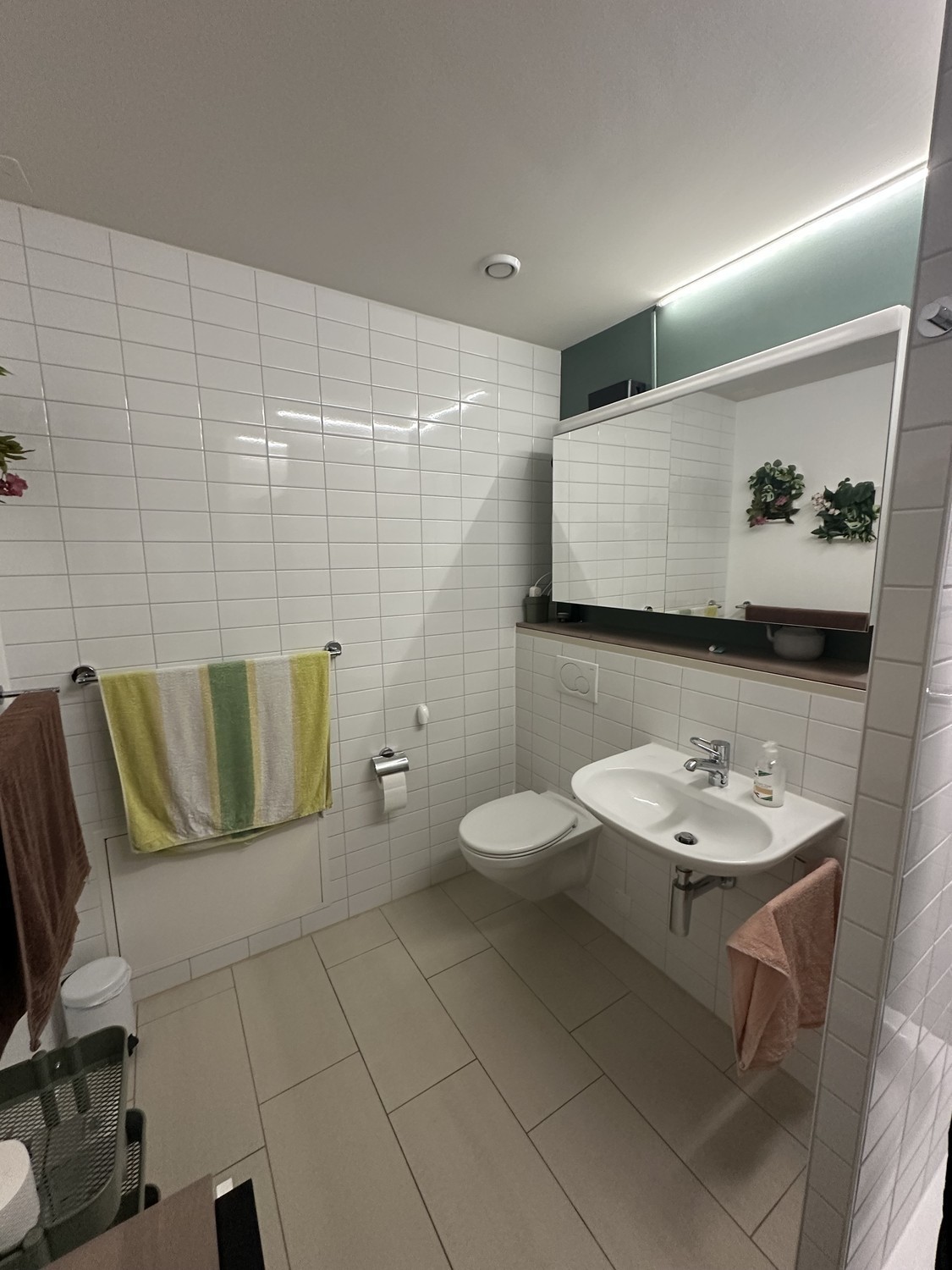 Room in a shared flat