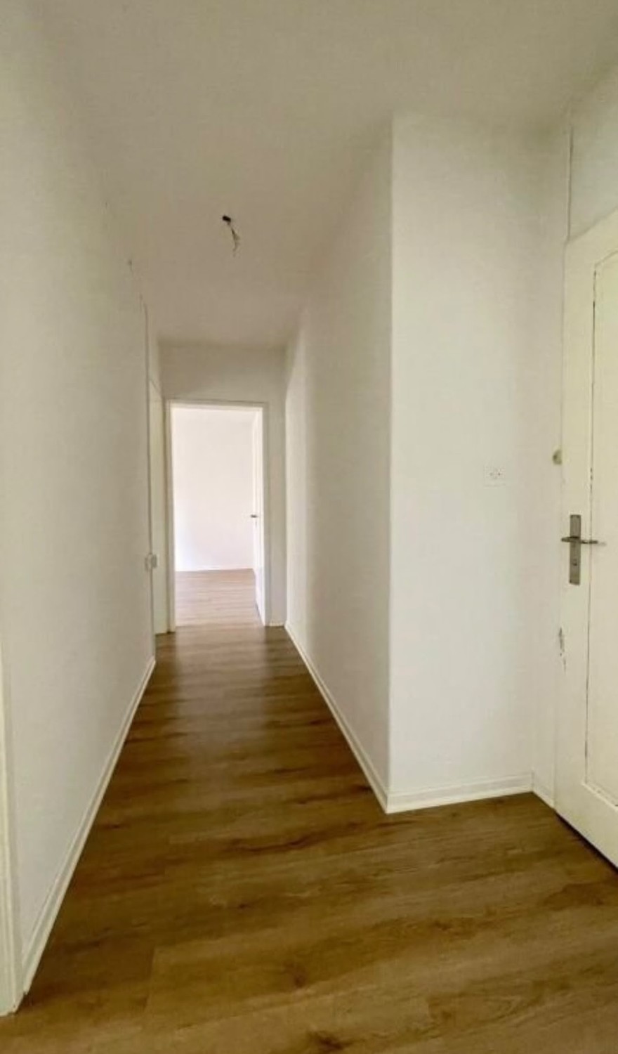 2 rooms apartment, Foto 7 von 8