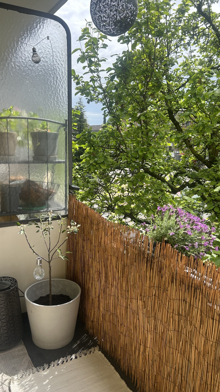 Appartement de 3 pièces