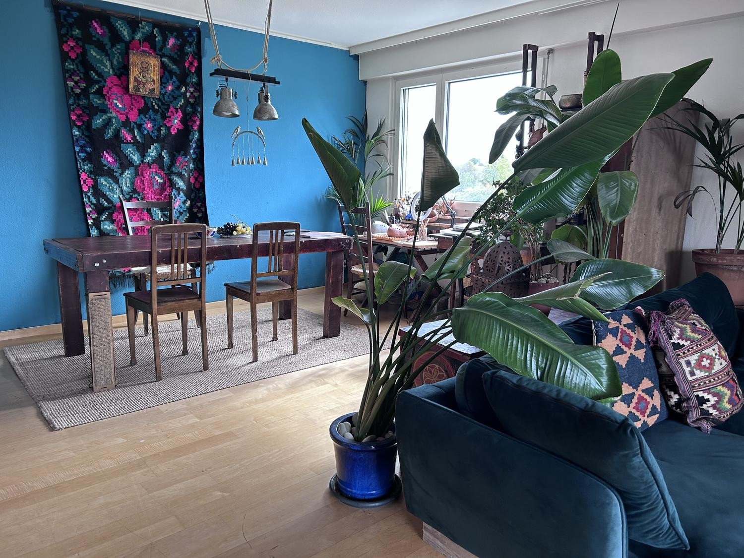 Room in a shared flat