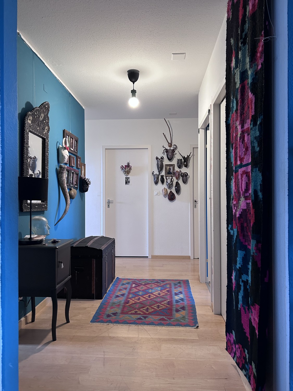 Room in a shared flat