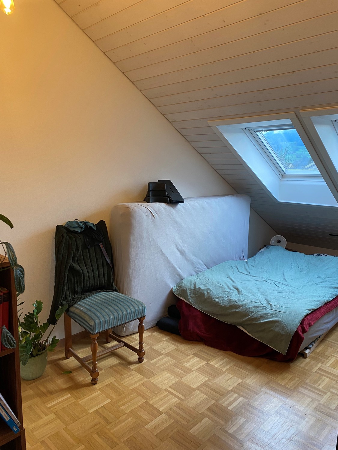 Room in a shared flat