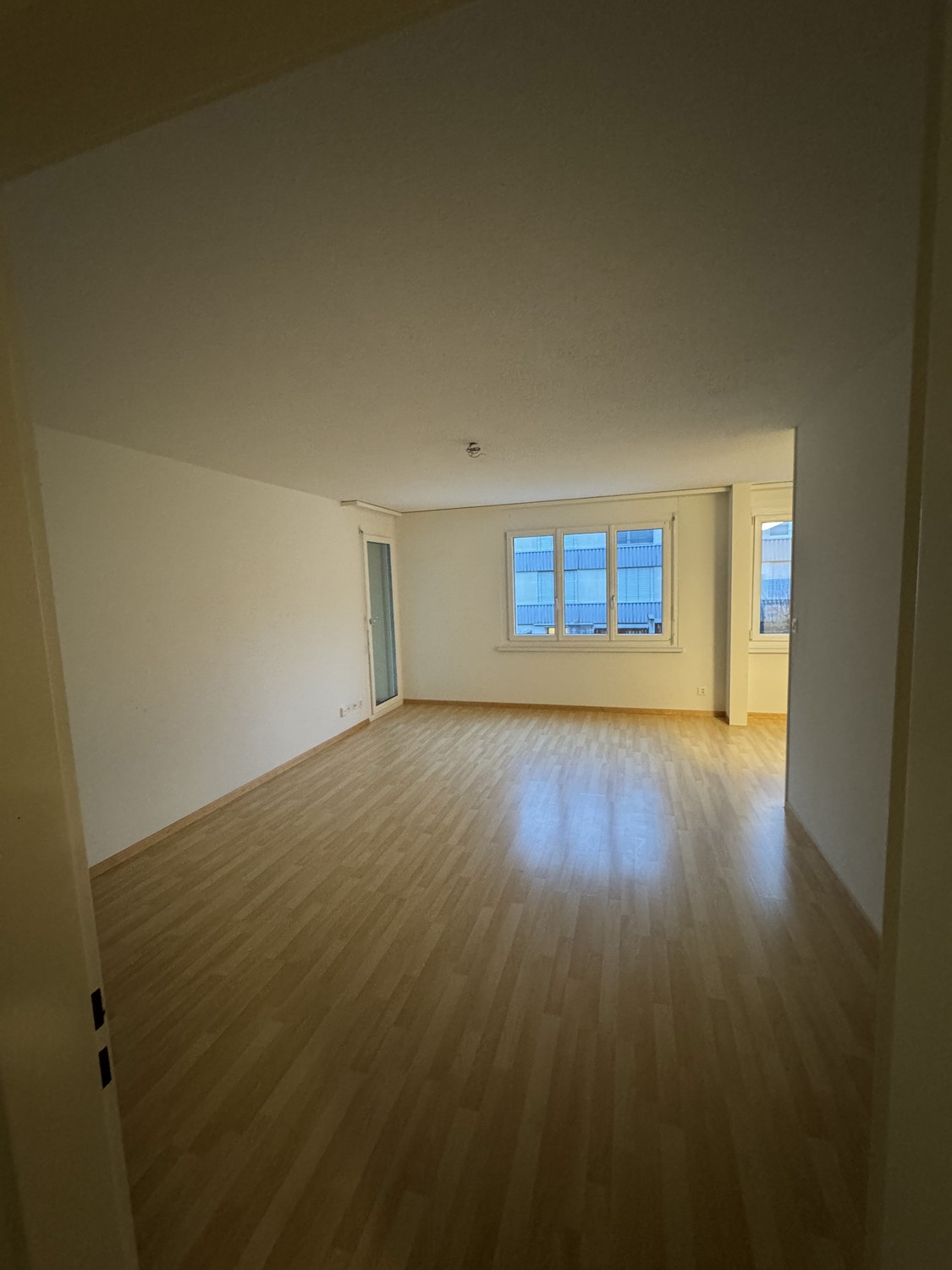 3 ½ Zimmer-Wohnung
