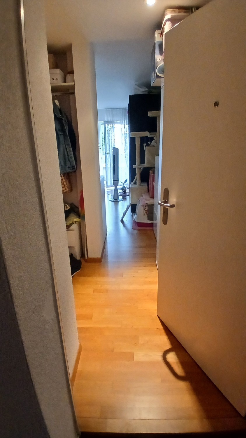 2 rooms apartment, Foto 1 von 10