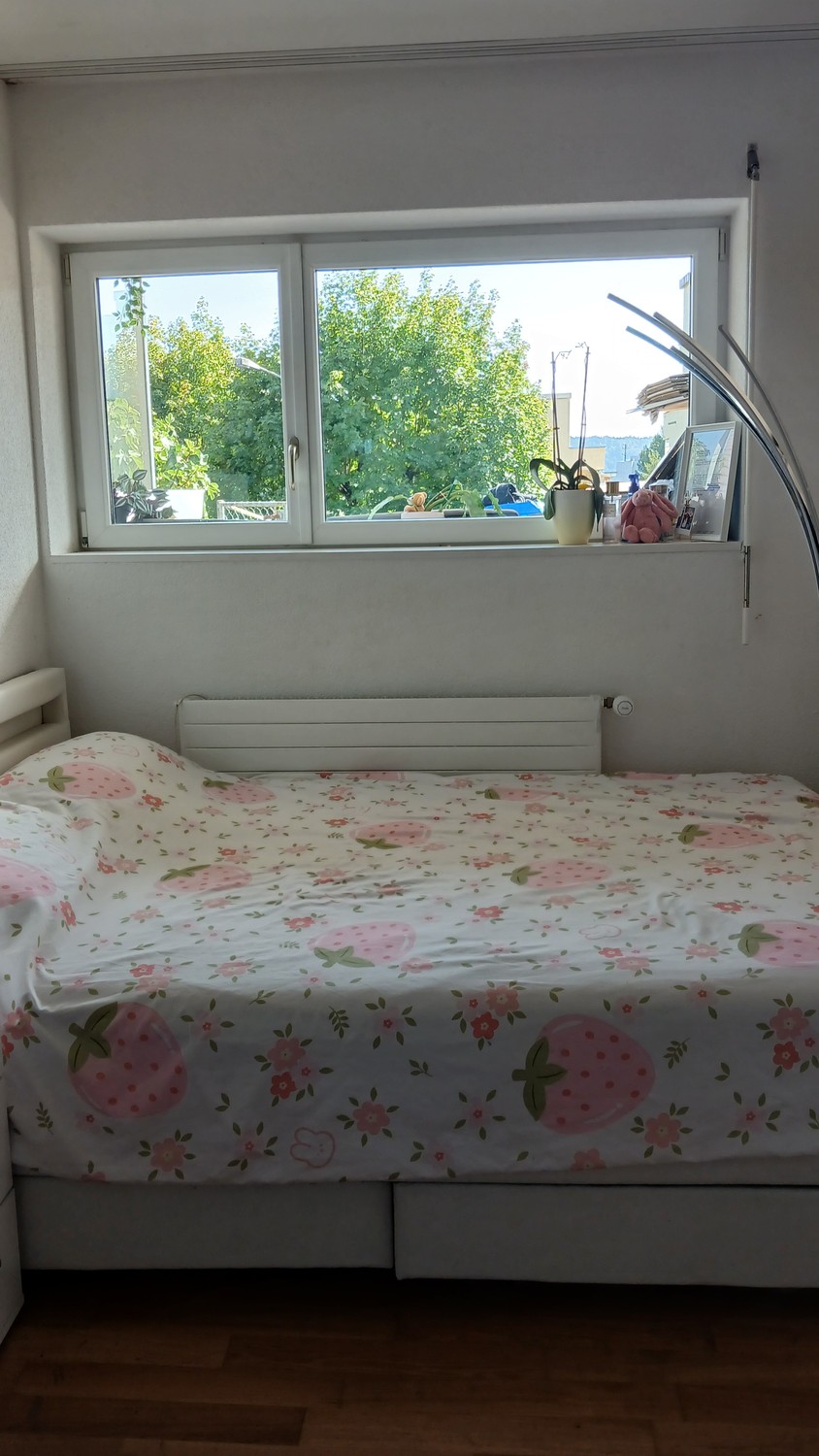 2 rooms apartment, Foto 10 von 10
