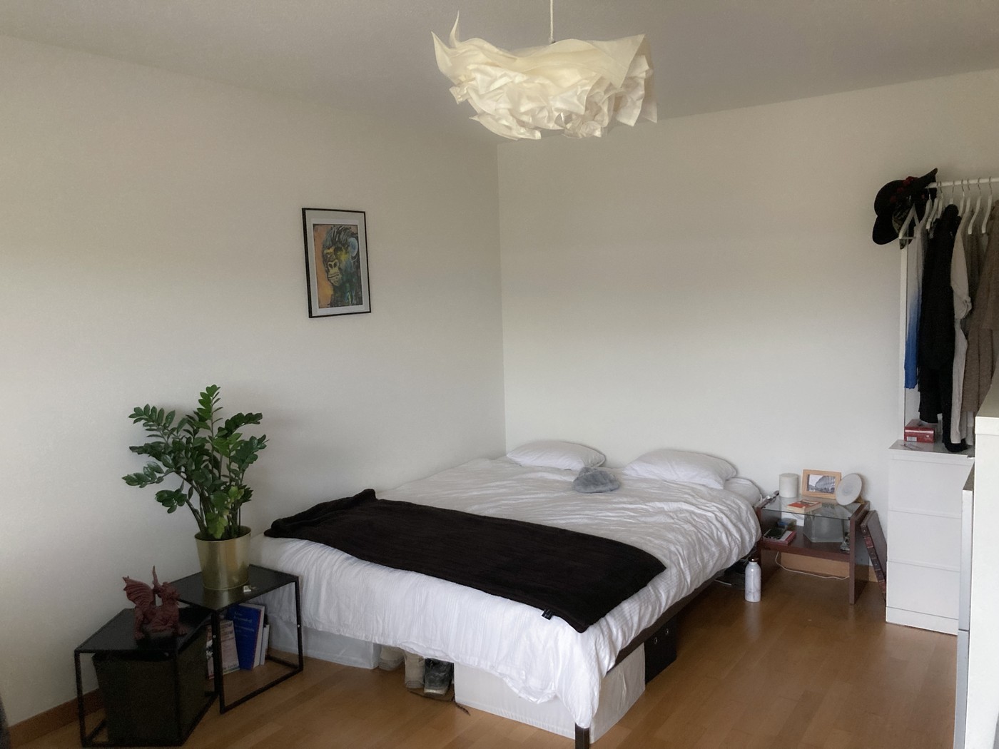 Chambre en colocation