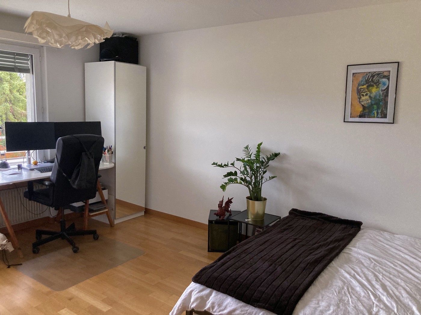 Chambre en colocation