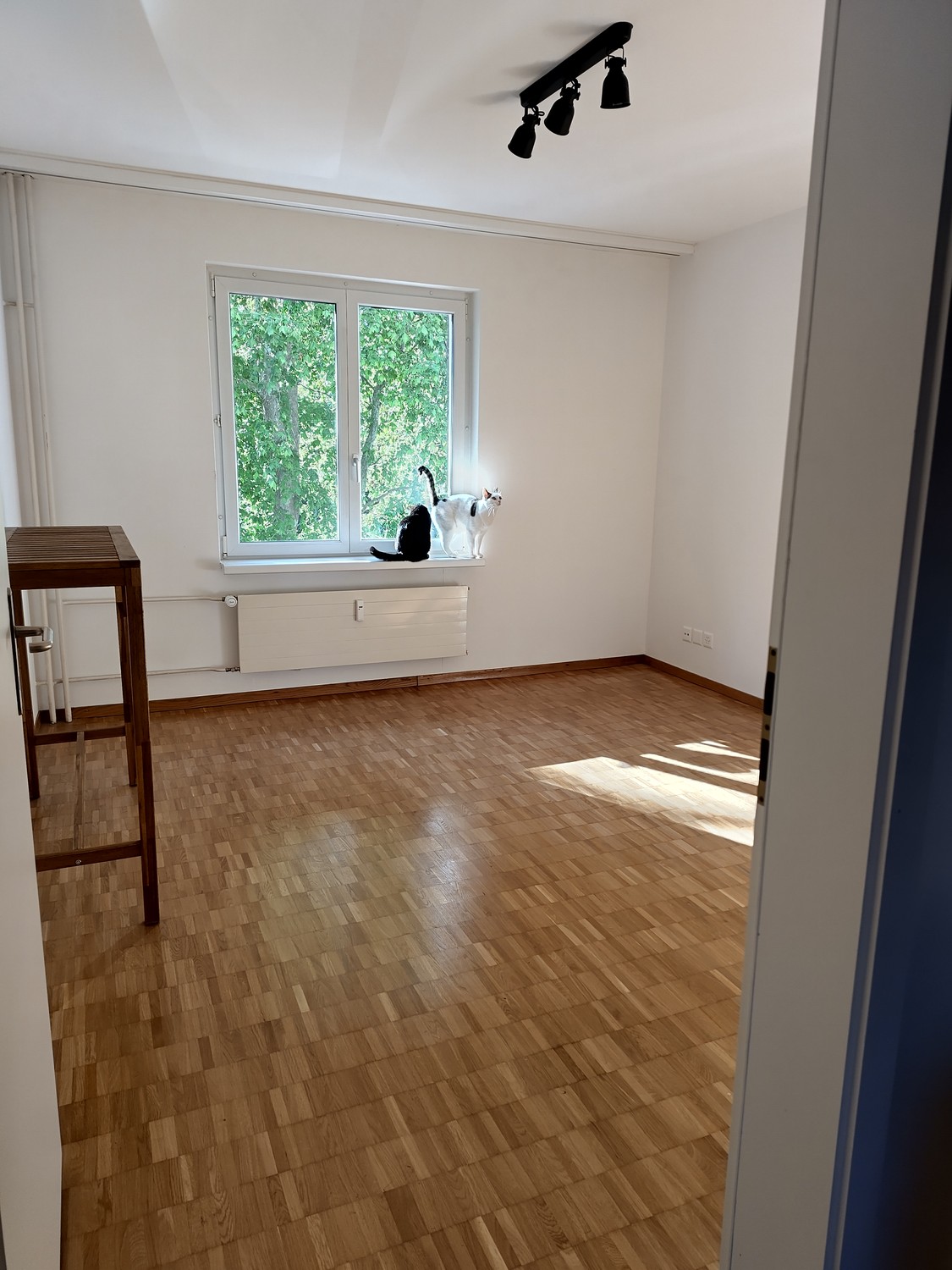 Room in a shared flat, foto 3 di 8