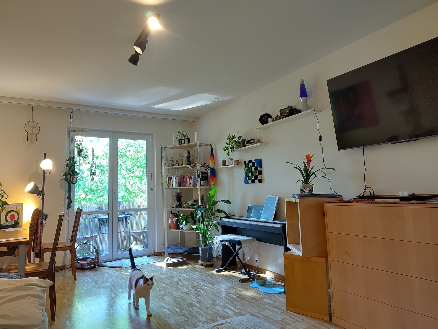 Room in a shared flat, foto 1 di 8
