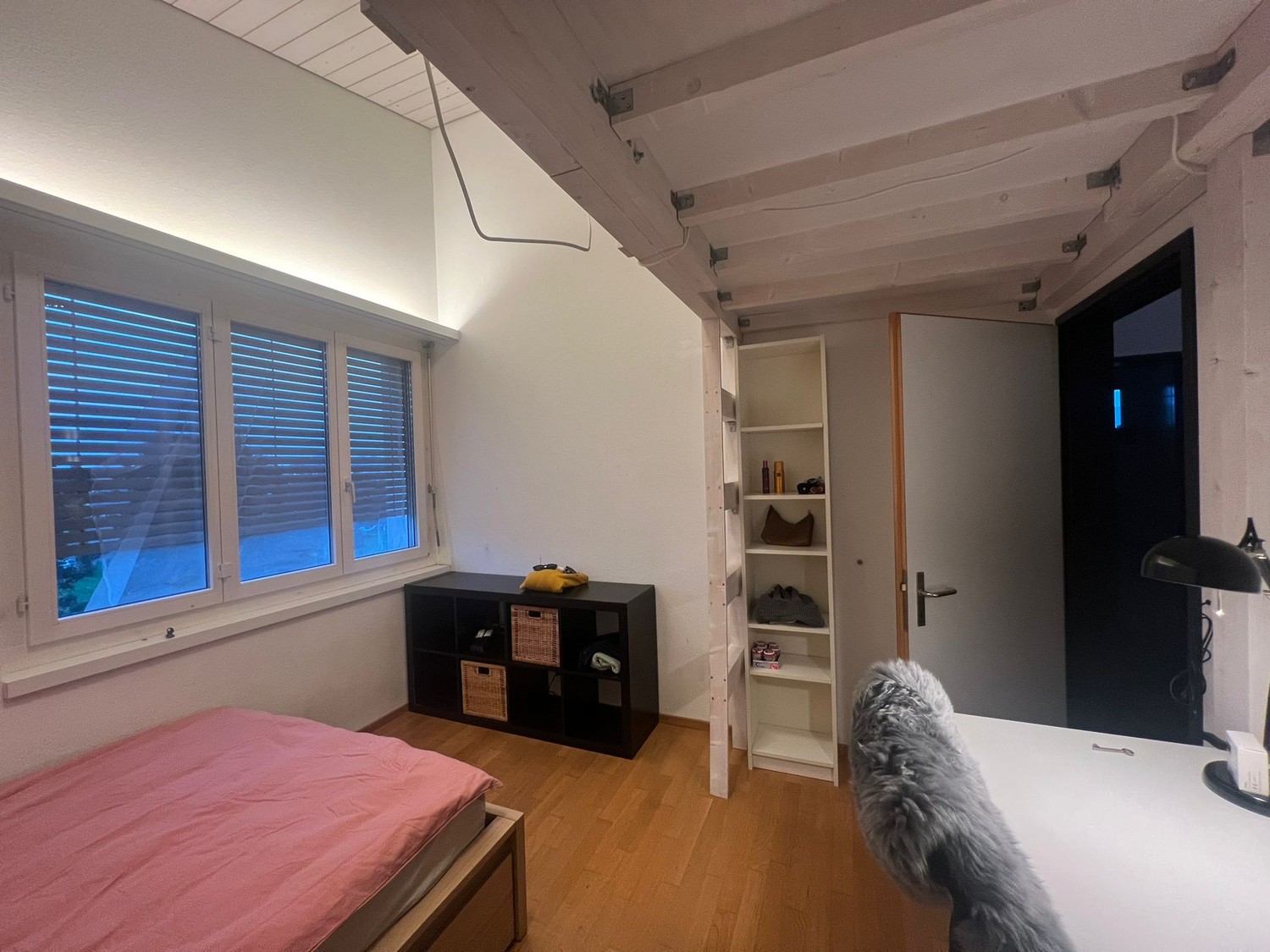 Room in a shared flat