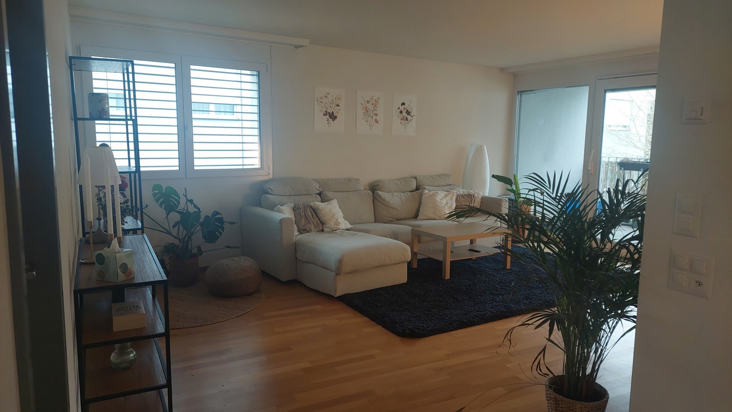 Chambre dans un appartement partagé