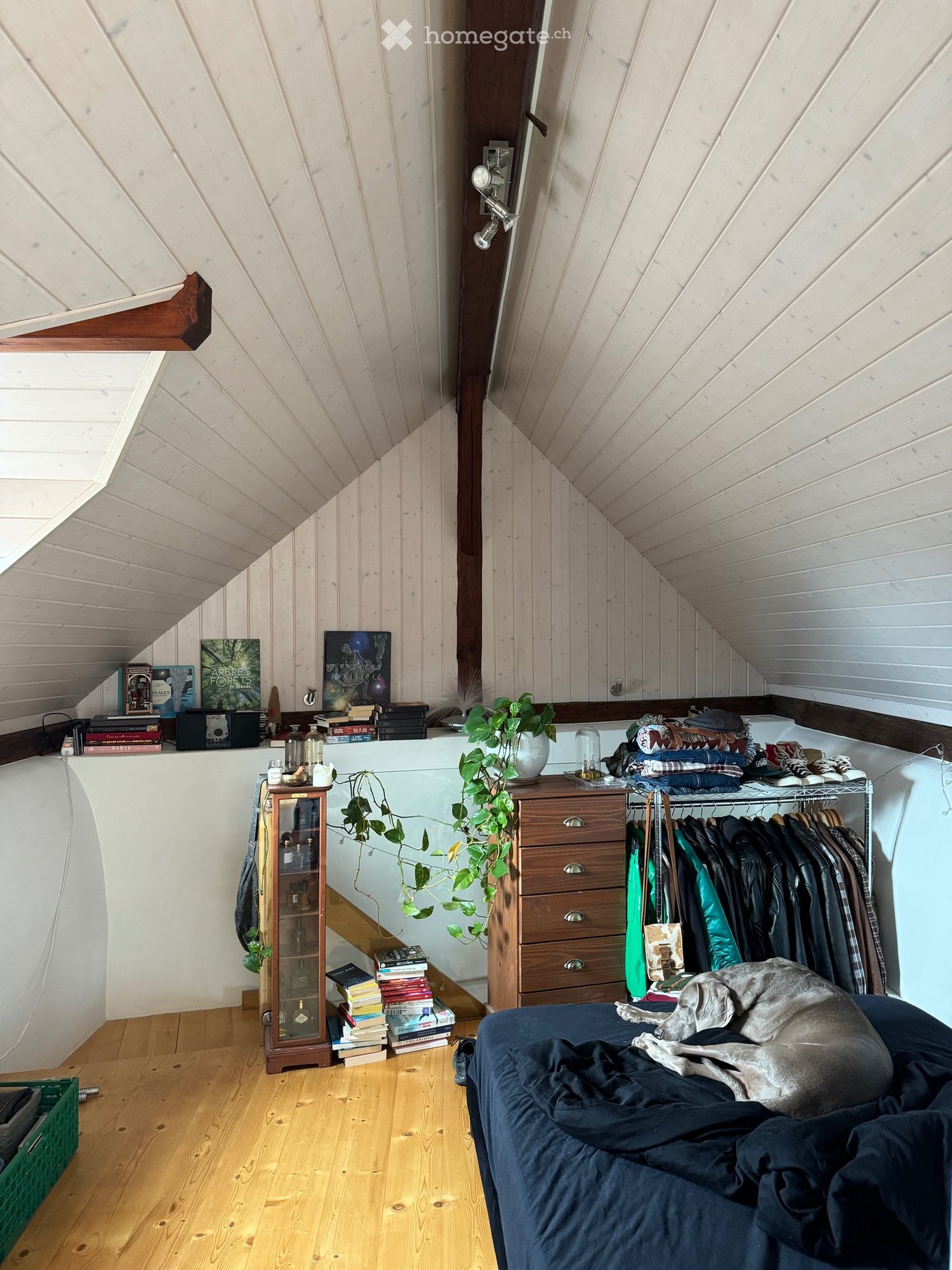 1-Zimmer-Wohnung