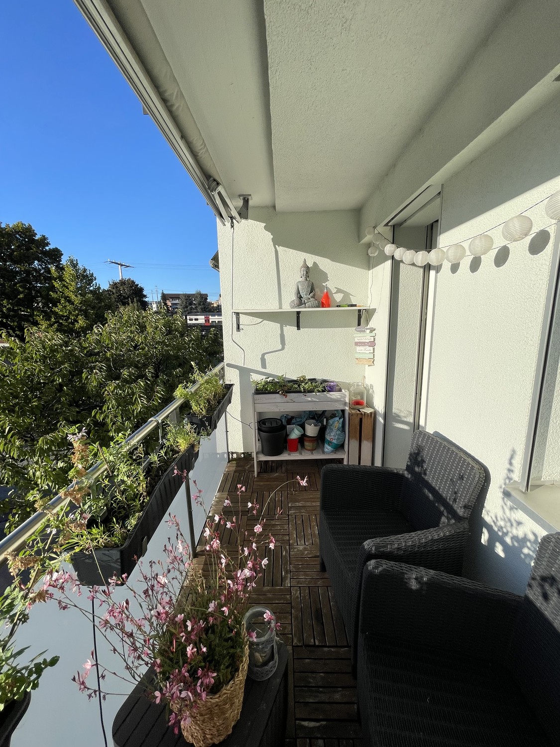 Room in a shared flat