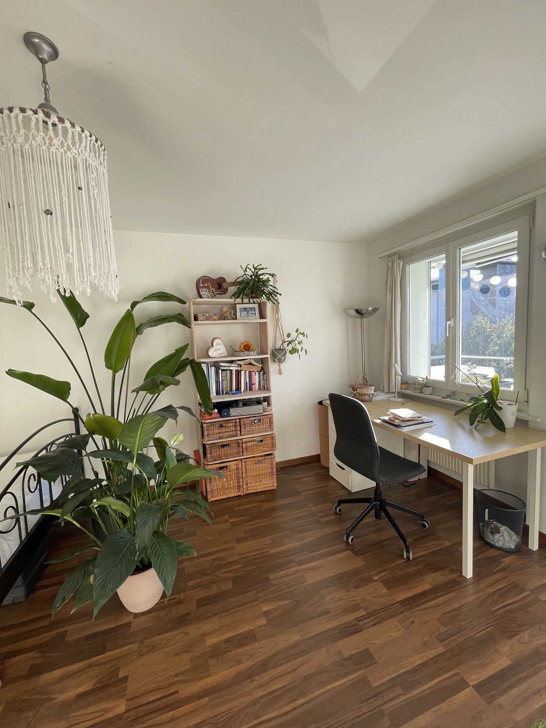 Room in a shared flat