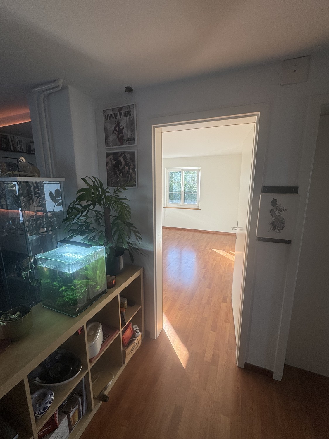 Room in a shared flat