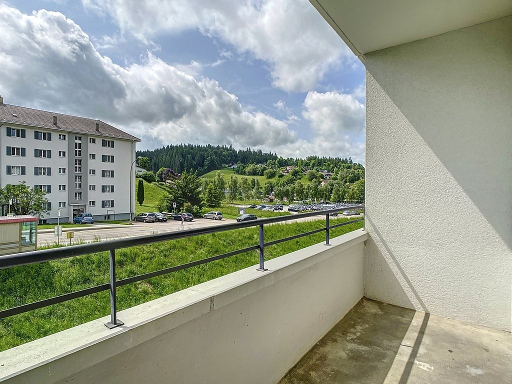 3 ½ Zimmer Wohnung