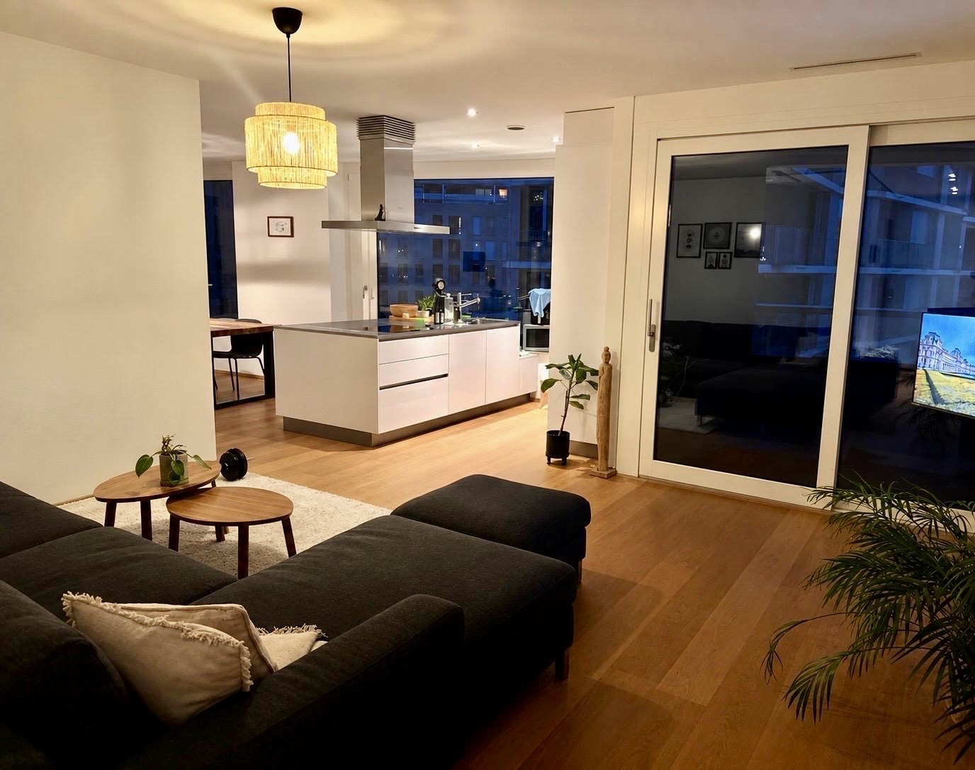 1 ½ Zimmer-Wohnung