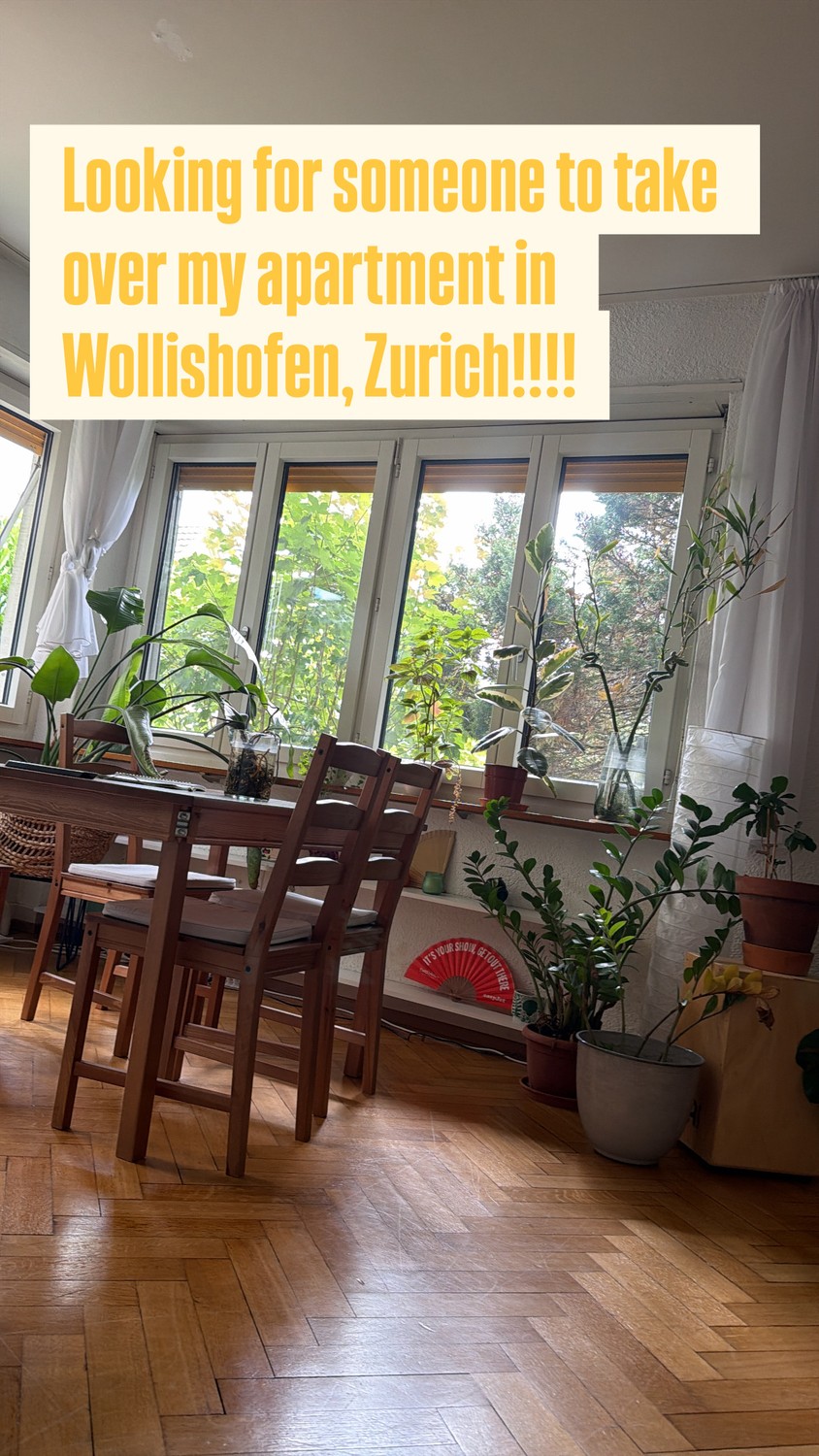 2 ½ Zimmer Wohnung, Foto 2 von 2