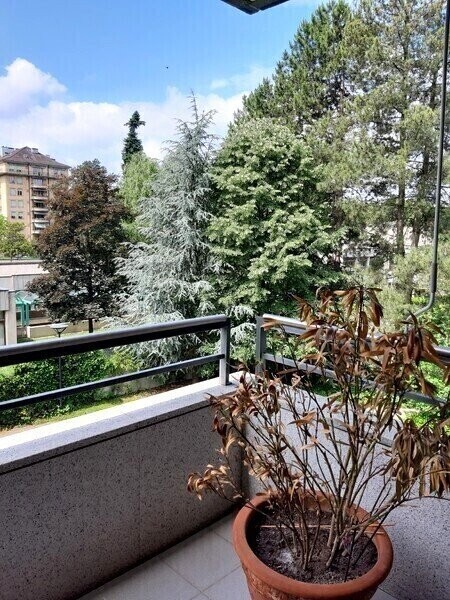 4 rooms furnished flat, photo 9 of 10