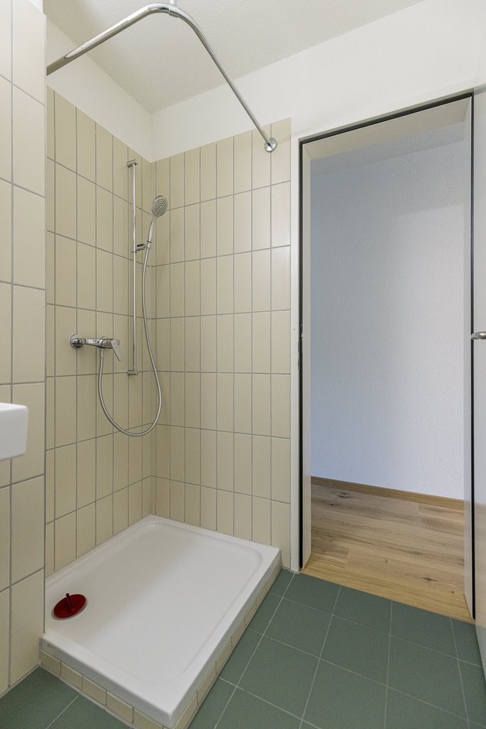 3 ½ rooms apartment (7)