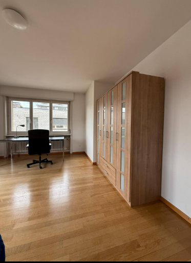 1-Zimmer-möblierte Wohnung, Foto 2 von 8