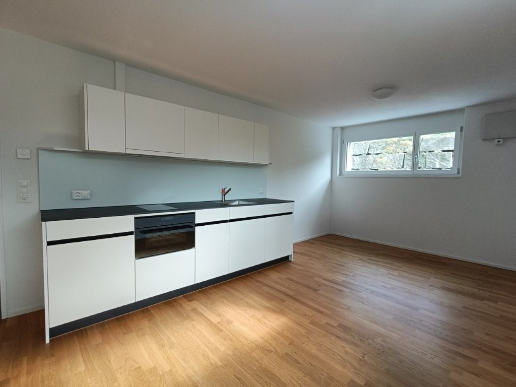 Appartement de 1 ½ pièces