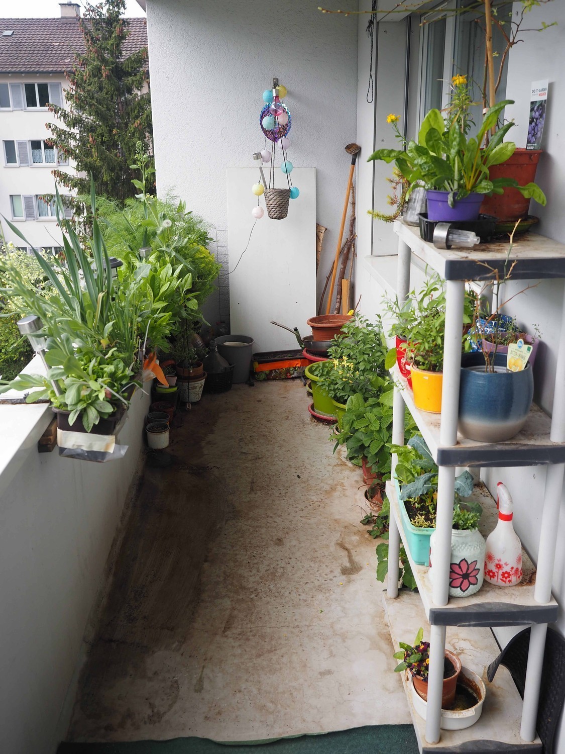 Room in a shared flat