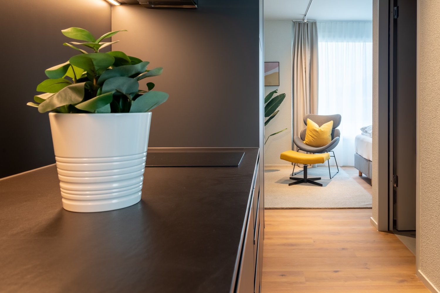 1 ½ rooms furnished flat, photo 3 sur 9