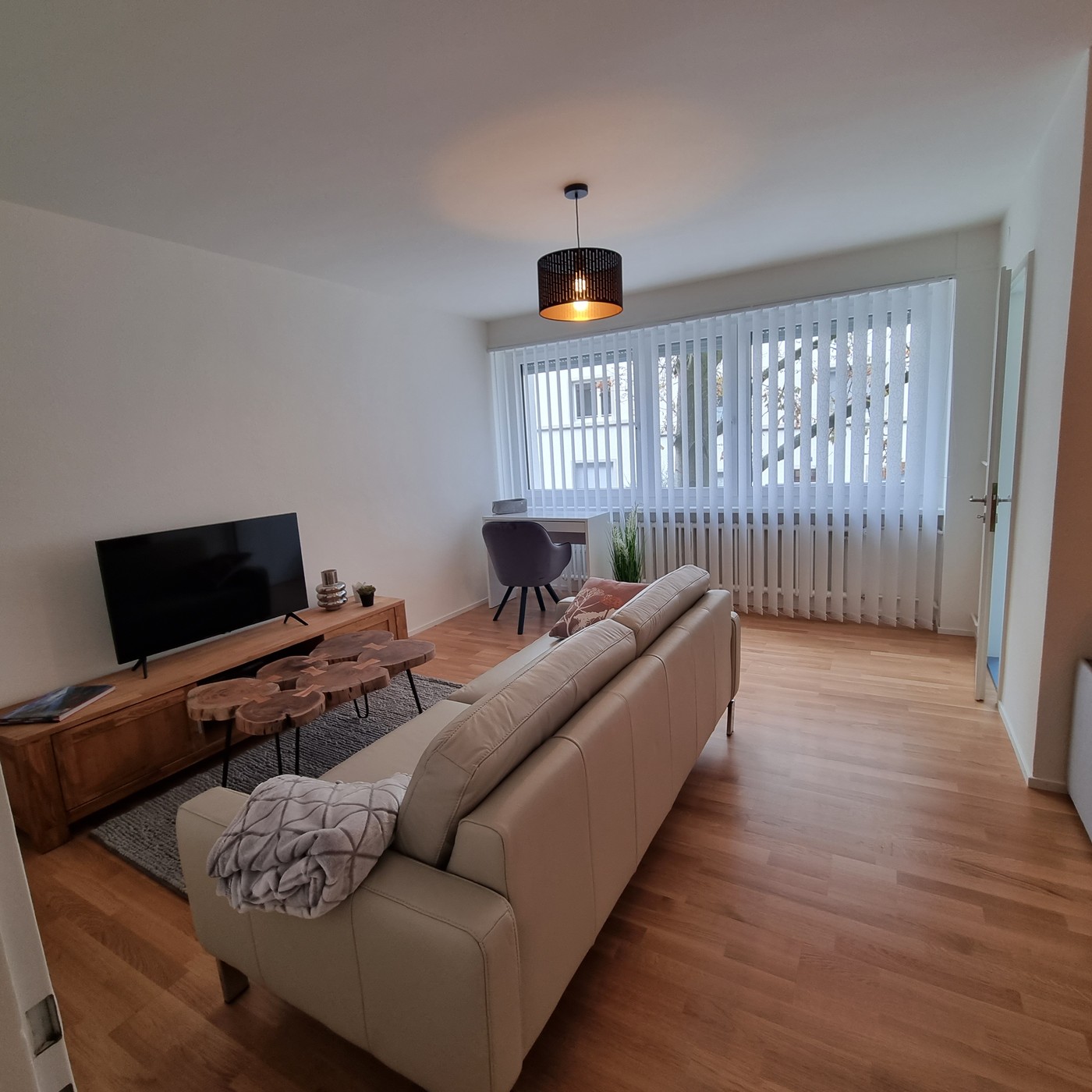 Appartement 1 ½ pièces