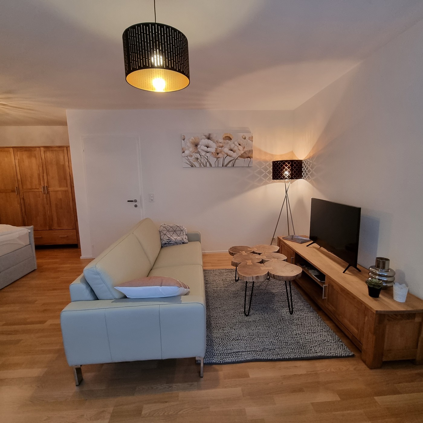 Appartement 1 ½ pièces