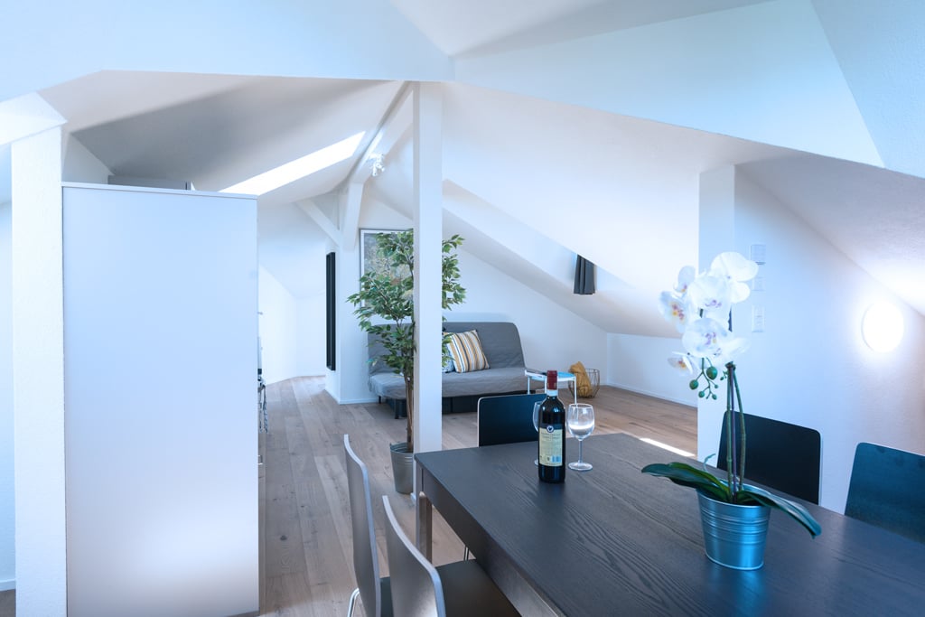 Appartement meublé de 3 ½ pièces