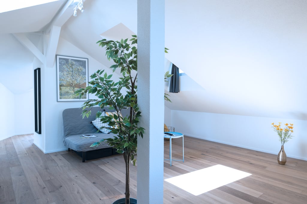 Appartement meublé de 3 ½ pièces