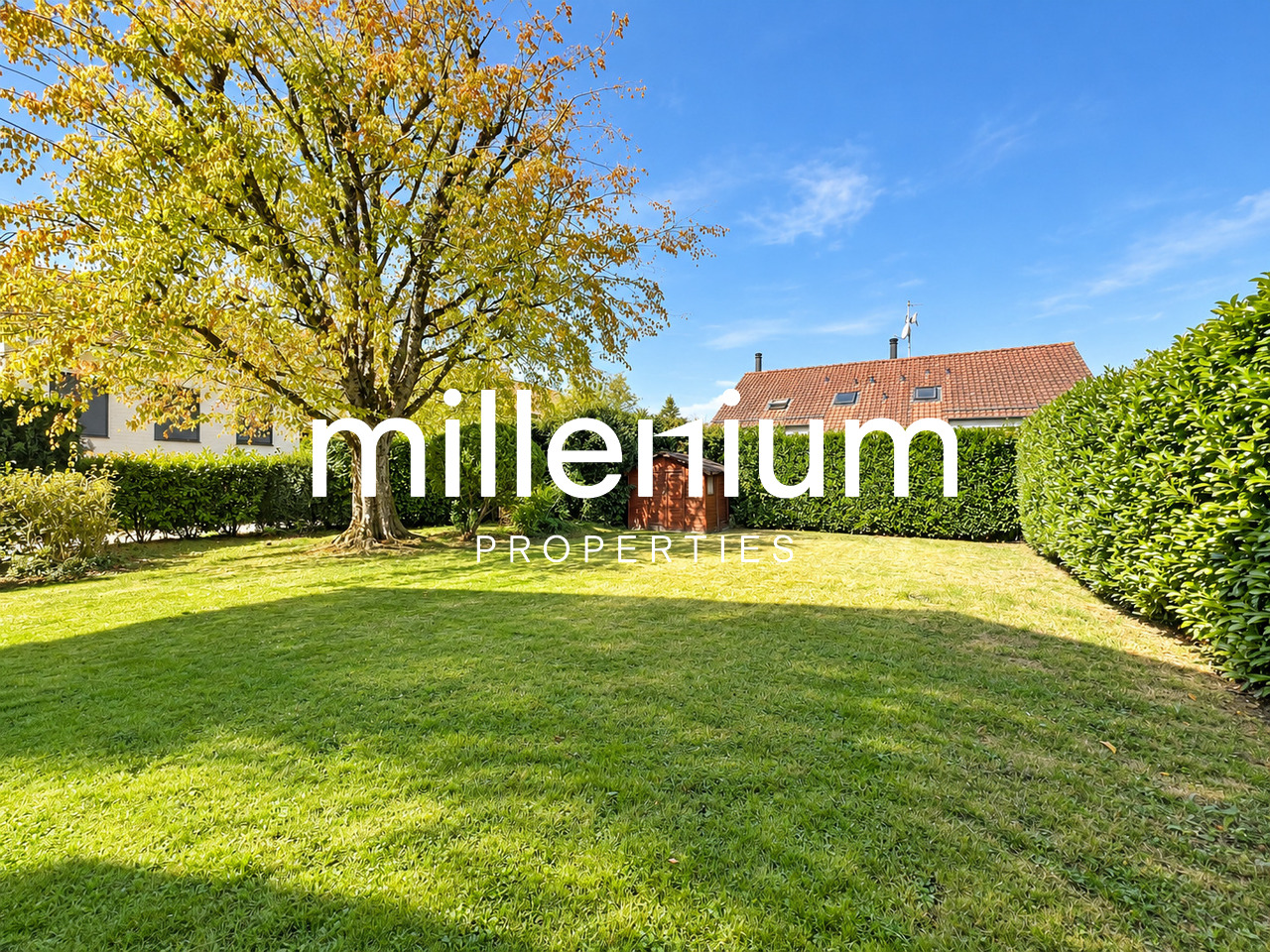 4-Zimmer-Einfamilienhaus