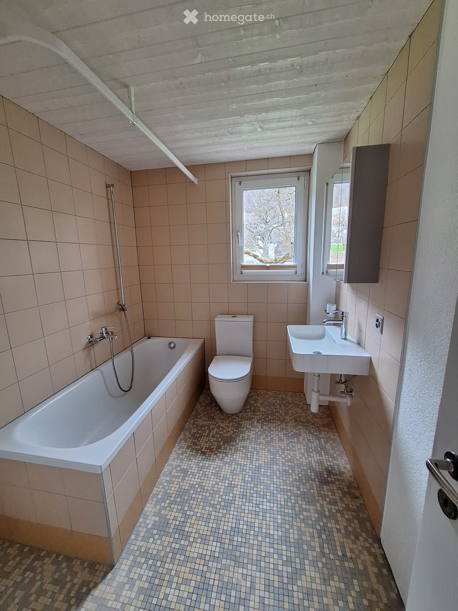2 ½ Zimmer Wohnung