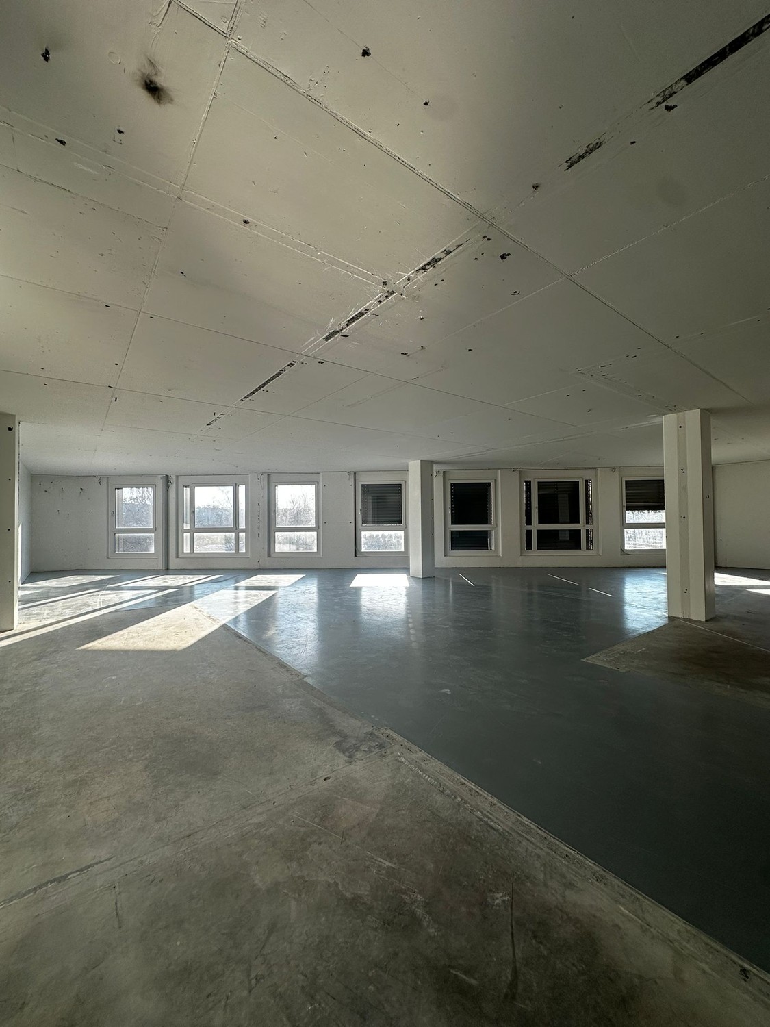 303m² commercial