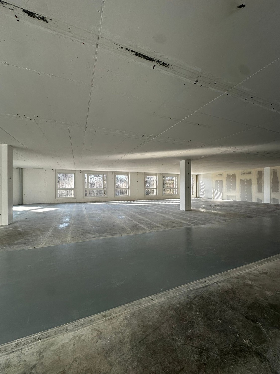 303m² commercial