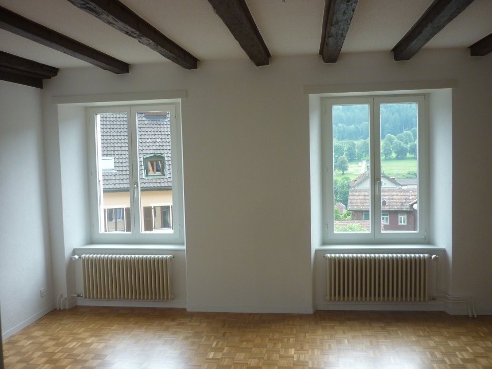 3 ½ Zimmer Wohnung