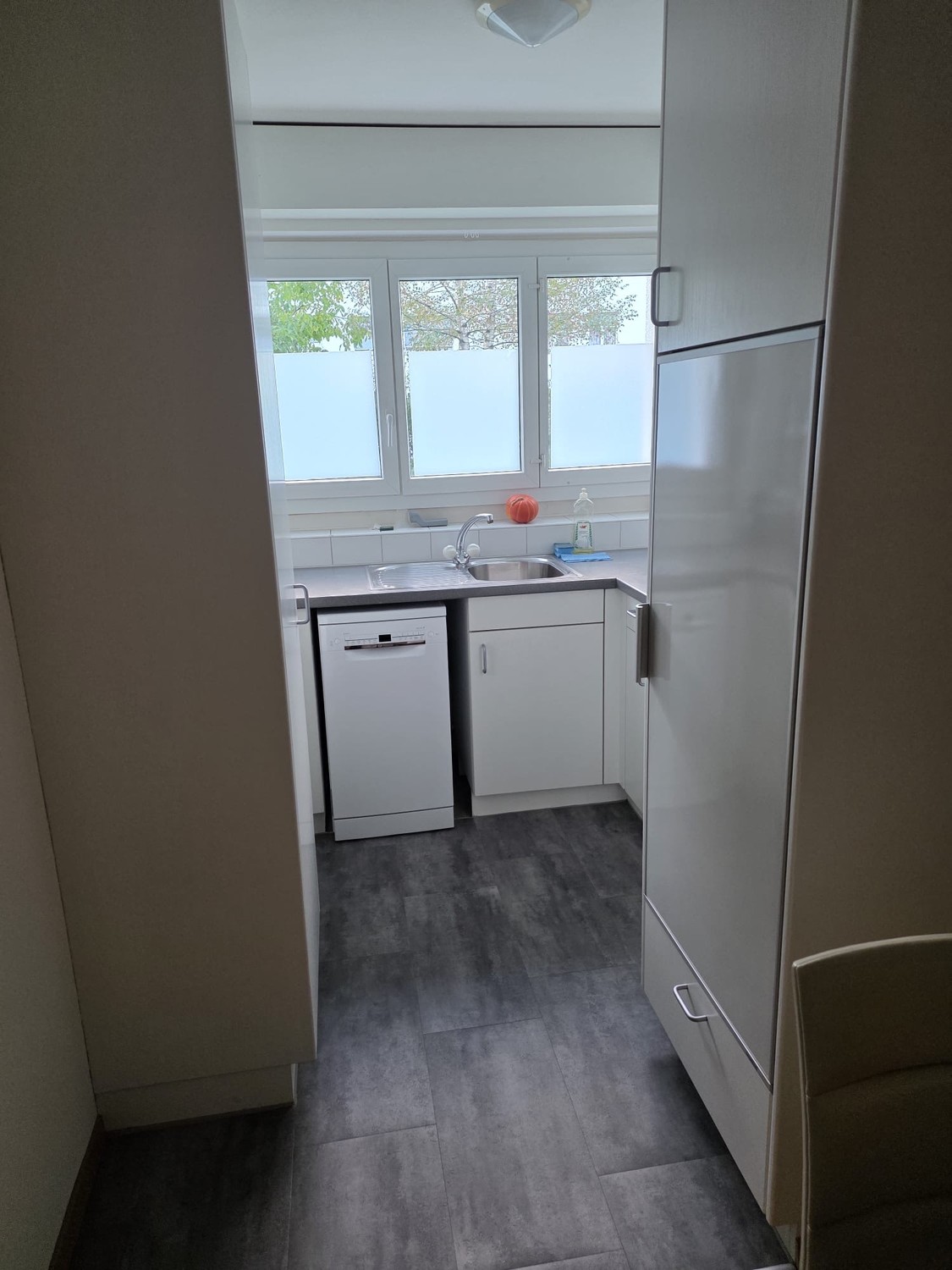 3 ½ Zimmer Wohnung