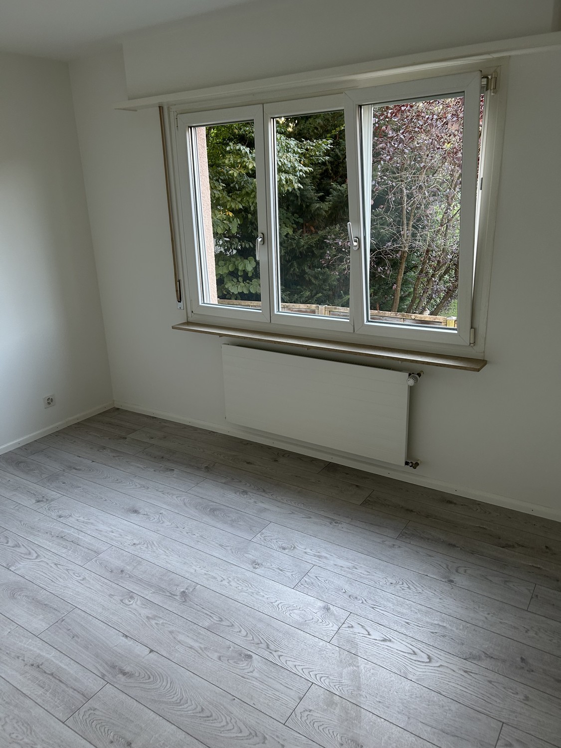 3 rooms apartment